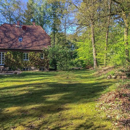 Forsthaus - Gut Thansen Soderstorf Экстерьер фото