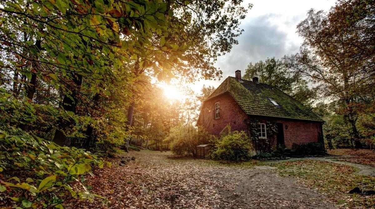 Forsthaus - Gut Thansen Soderstorf Экстерьер фото